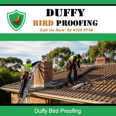 Professional bird proofing installation on residential roof in Duffy ACT